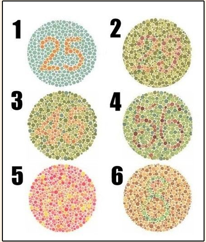 ɫ������ͼ