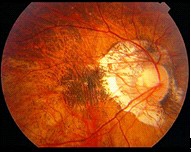 �����Խ��ӷ����ص���������ʱ��