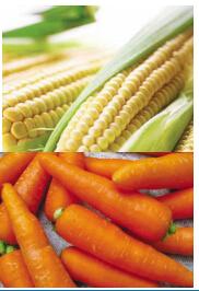 Ҷ���غ����׻���Ϊ�۵�����Ĥ������Ȼ��ī����