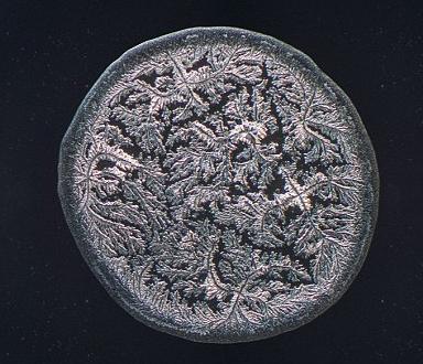 ��΢���µ����ᾧ�壺�Ժ�����ʱ������ѩ��״