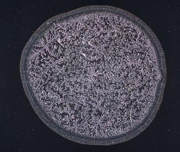 ��΢���µ����ᾧ�壺�Ժ�����ʱ������ѩ��״