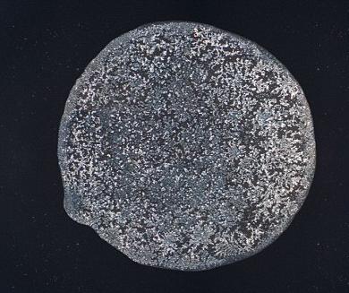 ��΢���µ����ᾧ�壺�Ժ�����ʱ������ѩ��״