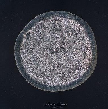 ��΢���µ����ᾧ�壺�Ժ�����ʱ������ѩ��״