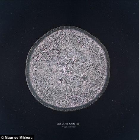 ��΢���µ����ᾧ�壺�Ժ�����ʱ������ѩ��״