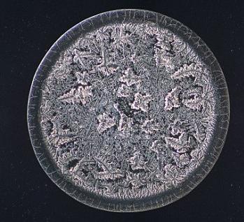 ��΢���µ����ᾧ�壺�Ժ�����ʱ������ѩ��״