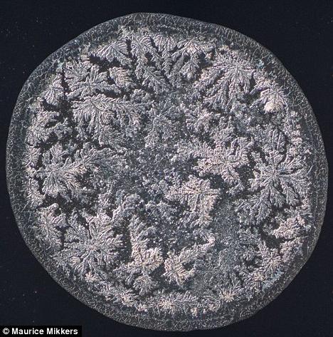 ��΢���µ����ᾧ�壺�Ժ�����ʱ������ѩ��״