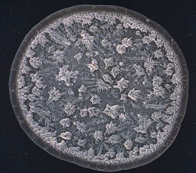 ��΢���µ����ᾧ�壺�Ժ�����ʱ������ѩ��״