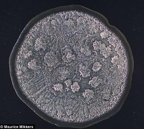 ��΢���µ����ᾧ�壺�Ժ�����ʱ������ѩ��״