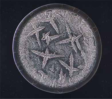 ��΢���µ����ᾧ�壺�Ժ�����ʱ������ѩ��״