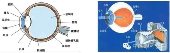 �ӹ�Ļ���֪ʶ(ͼ�İ�)