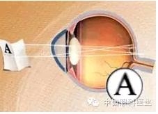 �ӹ�Ļ���֪ʶ(ͼ�İ�)