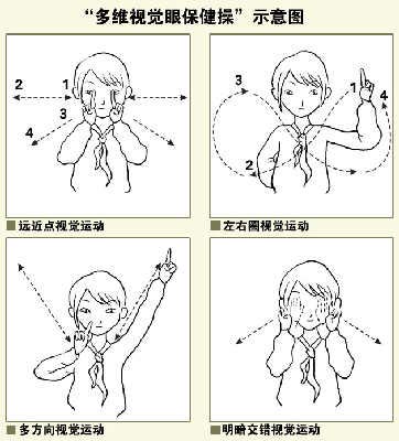 ����Сѧ�Ե����۱�����������(ͼ)