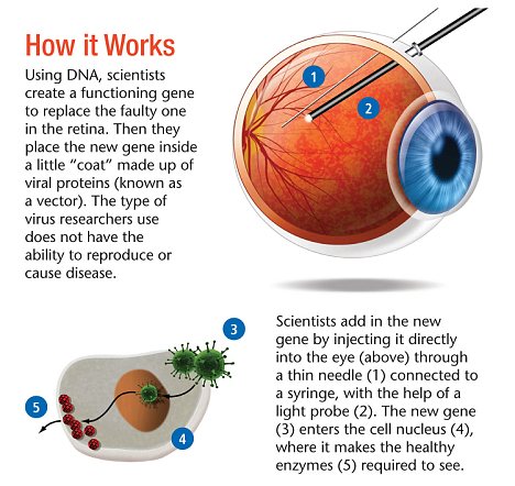 �û����Ʒ���ԭ��