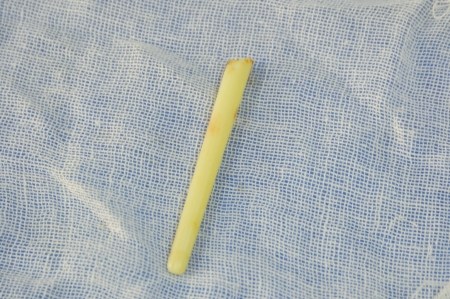 ��������һ��