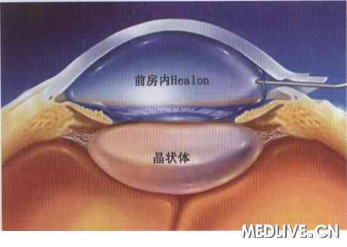 �µ��գ��ع˱���̨������Ϻ����������ķ�չ