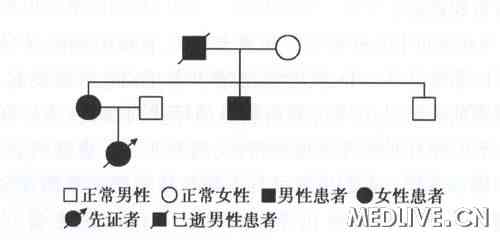 ͼ2 Axenfeld-Riger�ۺ������ߣ���1����ϵ