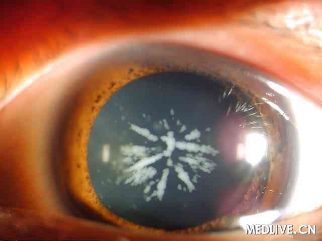 �����ϣ�ҽ��ͨ��ͼ��