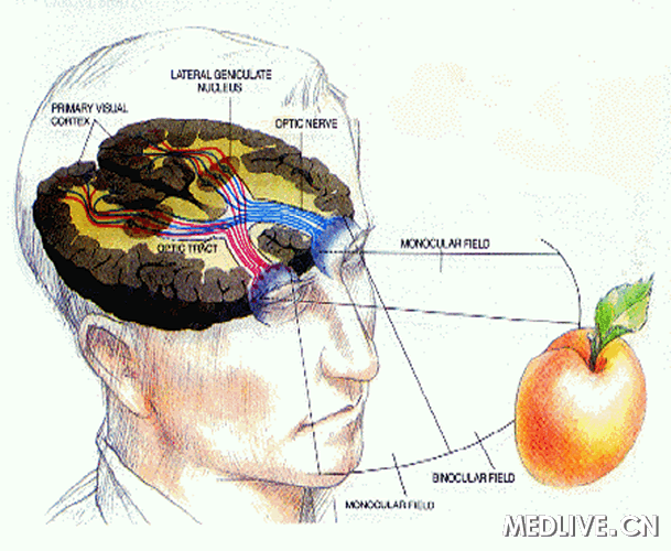 ���������Ƥ�����ϵ�� ������ ���۸߽����