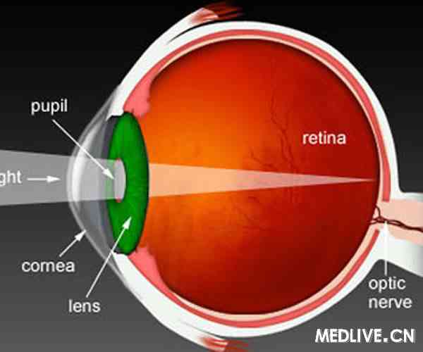 ά����E��C�޷���ֹ�ư߱���