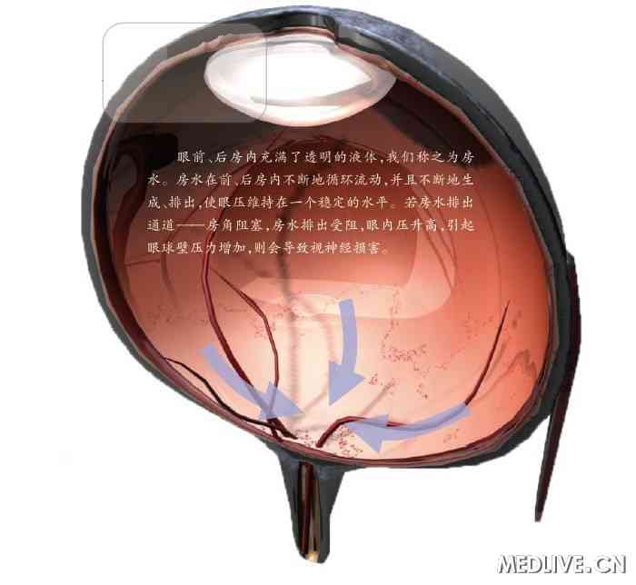 �����ԭ������