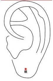 �۱�����Ѩλ1