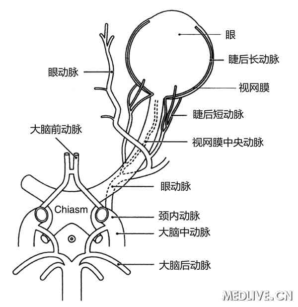 ҽ��ͨ��ͼ���۲�����