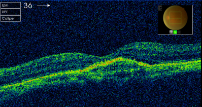 ������ƺ�����ۿ�ר�ҹ����Ժ�����ư߱��Ե����Ʒ���