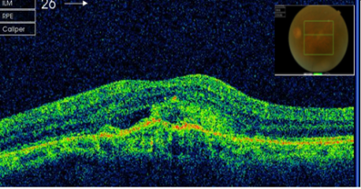 ������ƺ�����ۿ�ר�ҹ����Ժ�����ư߱��Ե����Ʒ���