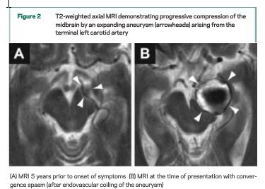 �����������������ϰ�