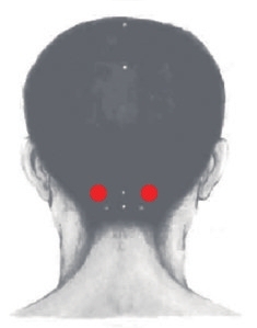 �۱�����Ѩλ4