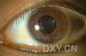 ��Щ�꣬�������������۲�������ͼ�׵�������