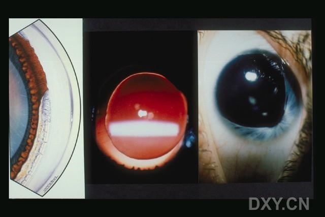 ��Щ�꣬�������������۲�������ͼ�׵�������