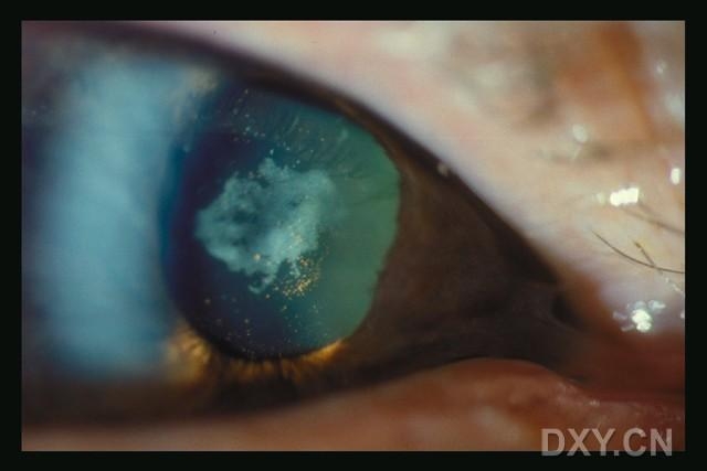 ��Щ�꣬�������������۲�������ͼ�׵�������