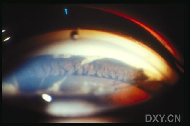 ��Щ�꣬�������������۲�������ͼ�׵�������