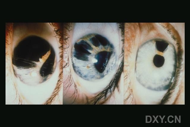 ��Щ�꣬�������������۲�������ͼ�׵�������