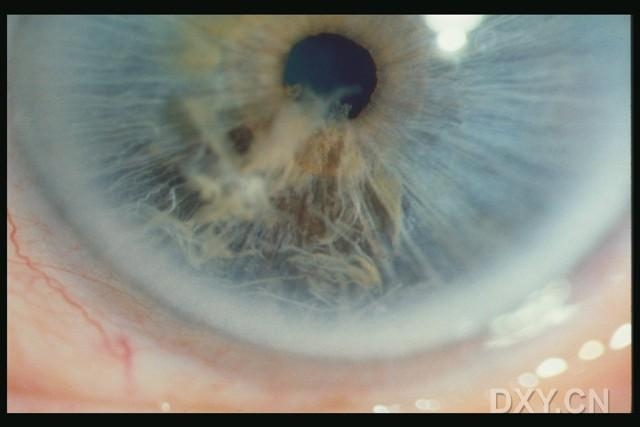 ��Щ�꣬�������������۲�������ͼ�׵�������