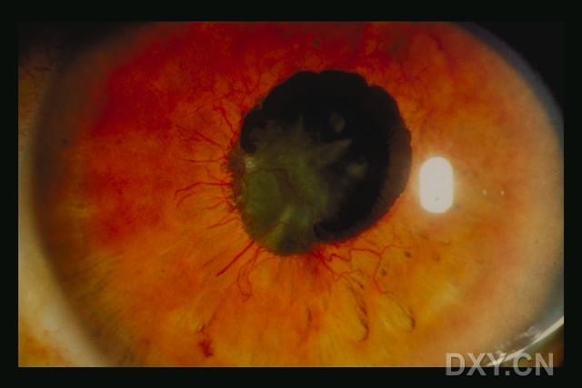 ��Щ�꣬�������������۲�������ͼ�׵�������