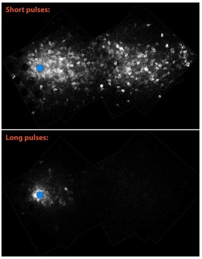 ��������Ĥ��ä�������ļ��ı任