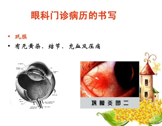 �ۿƲ�����������д