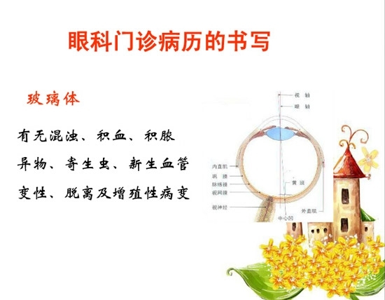 �ۿƲ�����������д