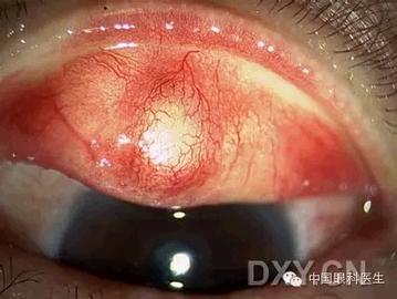 ��Щ�꣬�������������۲�������ͼ�׵ڶ�����