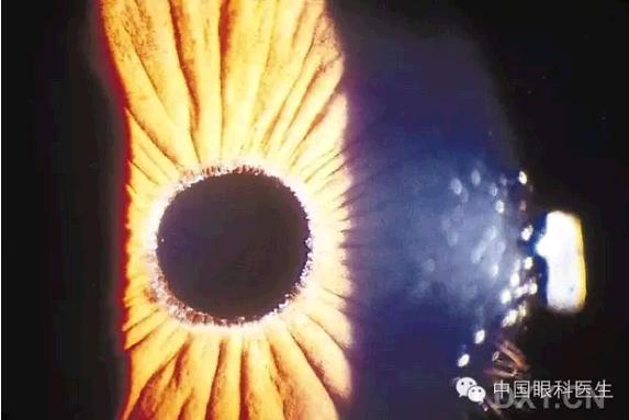 ��Щ�꣬�������������۲�������ͼ�׵ڶ�����