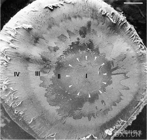 ��Щ�꣬�������������۲�������ͼ�׵ڶ�����