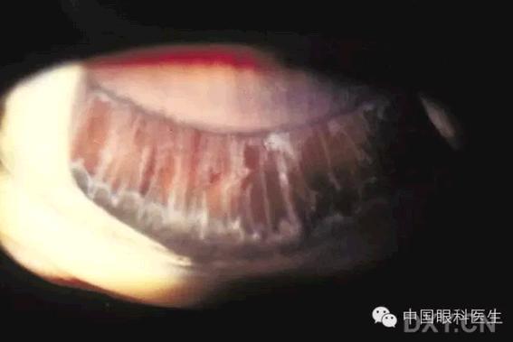 ��Щ�꣬�������������۲�������ͼ�׵ڶ�����