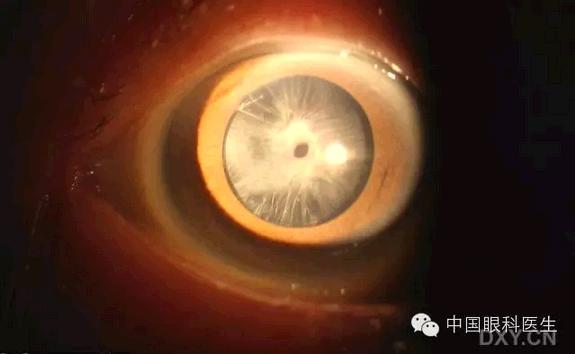 ��Щ�꣬�������������۲�������ͼ�׵ڶ�����