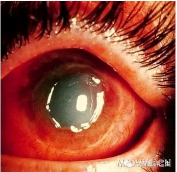 ���⾫���ۿƵ���ͼ��