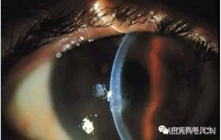 ���⾫���ۿƵ���ͼ��