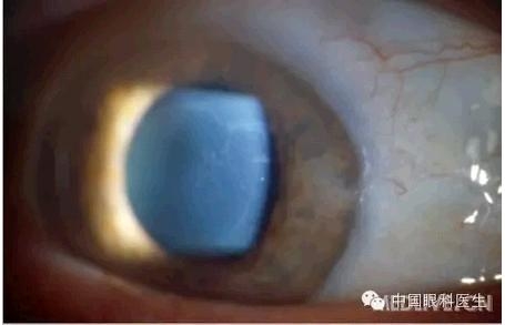 ���⾫���ۿƵ���ͼ��