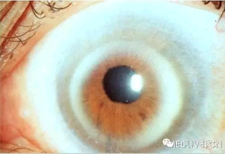 ���⾫���ۿƵ���ͼ��