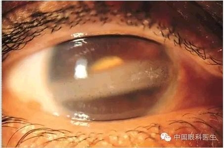 ���⾫���ۿƵ���ͼ��